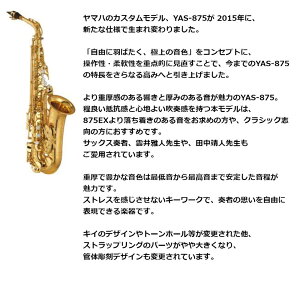 }n JX^AgTN\tHYAS-875