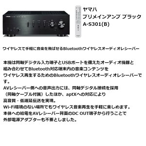 }n vCAv A-S301 (B) ubN