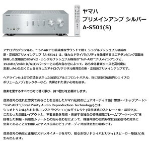 }n vCAv A-S501 (S)Vo[