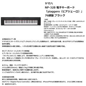 }n NP-32B ubN |[^uL[{[h 76 sAWF[