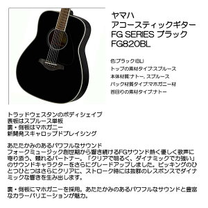 }n AR[XeBbNM^[ FG-820 BL