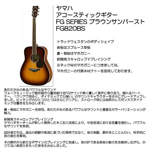 }n AR[XeBbNM^[ FG-820 BS