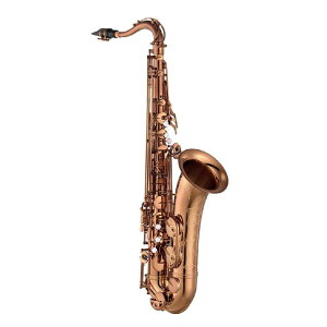 YAMAHA ���}�n �e�i�[�T�b�N�X YTS-62A