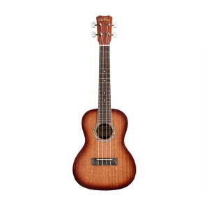 CORDOBA �R���T�[�g�E�N���� 15CM-E EGB