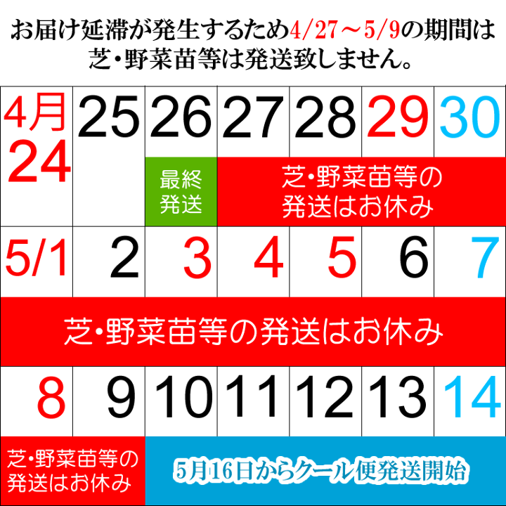 楽天市場 芝生 Tm9 2平米 ティーエムナイン 鹿児島産 高麗芝 手入れが楽 簡単で見た目もキレイな芝生 楽天市場芝生ジャンル連続1位獲得 やっぱり人工芝より天然芝 ガーデニング Diy 美景観 省管理 少ない肥料 店頭受取対応商品 プロジェクト鹿児島 楽天市場 芝生 Tm9 2平米 ティーエムナイン 鹿児島産 高麗芝 手入れが楽 簡単で見た目もキレイな芝生 楽天市場芝生ジャンル連続1位獲得 やっぱり人工芝より天然芝 ガーデニング Diy 美景観 省管理 少ない肥料 店頭受取対応商品 プロジェクト鹿児島