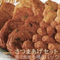 国生屋 さつま揚げ 真空 6種8パック 鹿児島産 さつまあげ　ギフト
