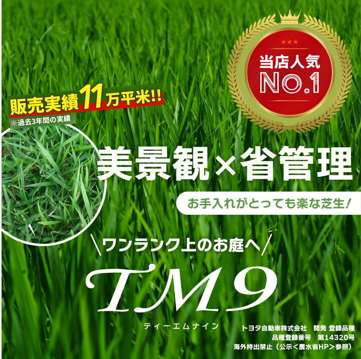 楽天市場】【普通便/送料込】芝生 TM9 1平米 ティーエムナイン 鹿児島 
