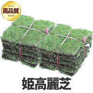 【普通便/送料込】芝生 姫高麗芝 2平米 鹿児島産 やっぱり人工芝より天然芝 ガーデニング DIY【店頭受取…