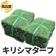 【普通便/送料込】芝生 キリシマターフ 2平米 鹿児島産