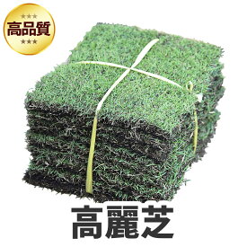 【普通便/送料込】芝生 高麗芝 1平米 鹿児島産【店頭受取対応商品】