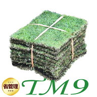 【普通便/送料込】芝生 TM9 1平米 ティーエムナイン 鹿児島産 高麗芝 手入れが楽 簡単で見た目もキレイな…