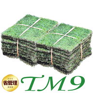 【普通便/送料込】芝生 TM9 2平米 ティーエムナイン 鹿児島産 高麗芝 手入れが楽 簡単で見た目もキレイな…