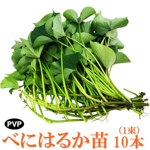 �y���T���j�������z���܂��� �c �ׂɂ͂邩 1���Z�b�g�i1��10�{�j �������Y