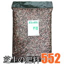 芝生の肥料 552 ゴーゴーニ 5kg 【送料無料・店頭受取対応商品】