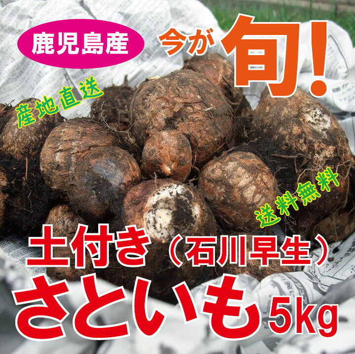 楽天市場】【国産】鹿児島県産 土付き里芋 さといも 石川早生 5kg【送料無料】 : プロジェクト鹿児島 楽天市場】【国産】鹿児島県産 土付き里芋 さといも 石川早生 5kg【送料無料】 : プロジェクト鹿児島