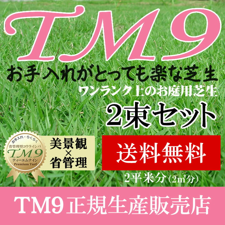 楽天市場】芝生 TM9 2平米セット 鹿児島産 送料無料 : プロジェクト鹿児島