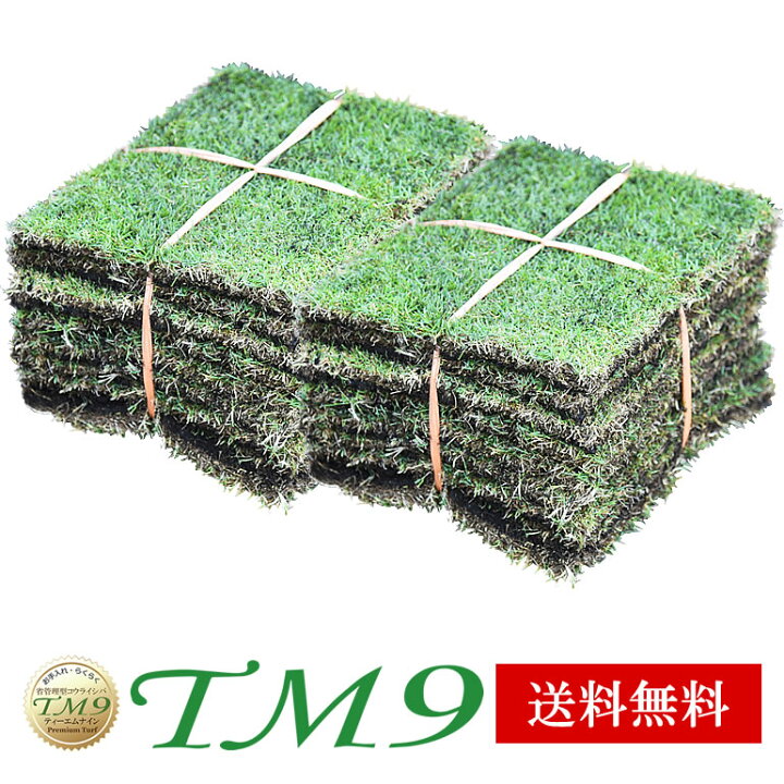 楽天市場】芝生 TM9 2平米セット 鹿児島産 送料無料 : プロジェクト鹿児島