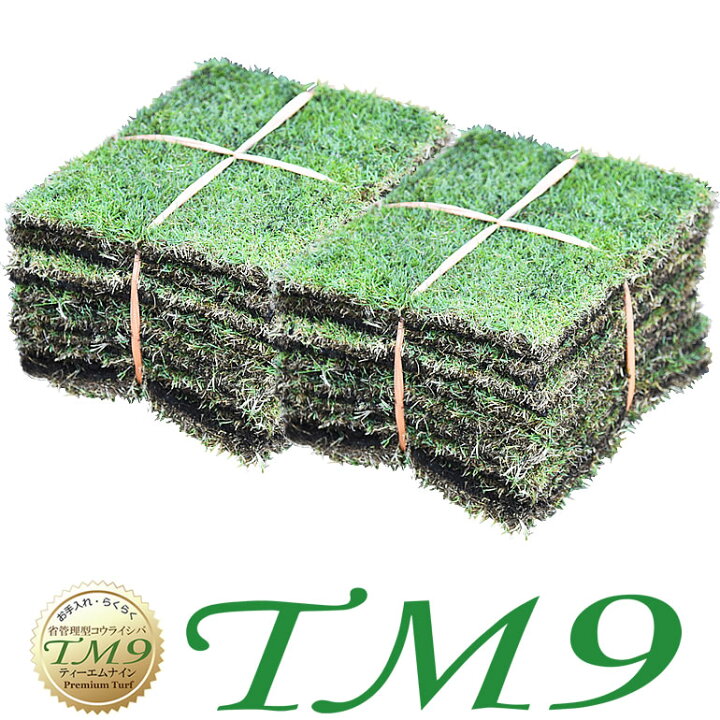 楽天市場 芝生 Tm9 2平米 ティーエムナイン 鹿児島産 高麗芝 手入れが楽 簡単で見た目もキレイな芝生 楽天市場芝生ジャンル連続1位獲得 やっぱり人工芝より天然芝 ガーデニング Diy 美景観 省管理 少ない肥料 店頭受取対応商品 プロジェクト鹿児島
