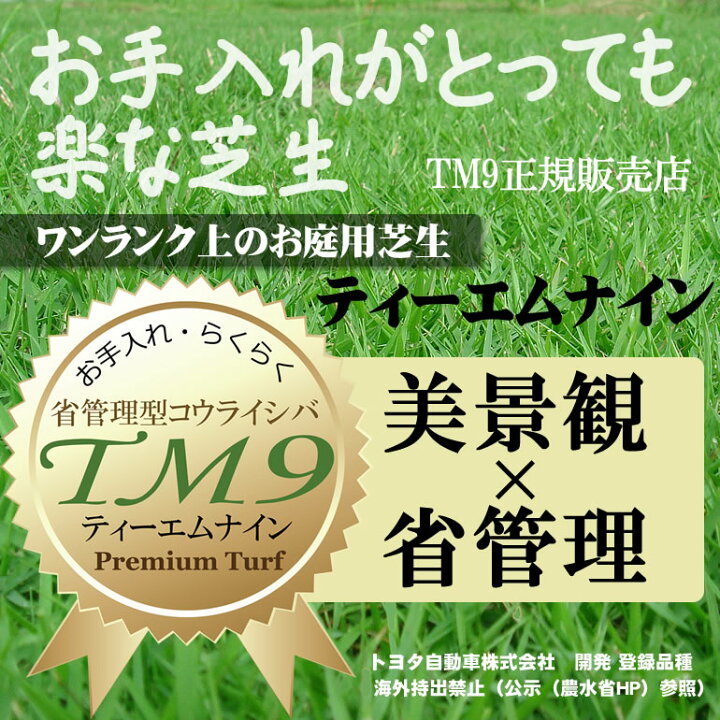 楽天市場 芝生 Tm9 2平米 ティーエムナイン 鹿児島産 高麗芝 手入れが楽 簡単で見た目もキレイな芝生 楽天市場芝生ジャンル連続1位獲得 やっぱり人工芝より天然芝 ガーデニング Diy 美景観 省管理 少ない肥料 店頭受取対応商品 プロジェクト鹿児島 楽天市場 芝生 Tm9 2平米 ティーエムナイン 鹿児島産 高麗芝 手入れが楽 簡単で見た目もキレイな芝生 楽天市場芝生ジャンル連続1位獲得 やっぱり人工芝より天然芝 ガーデニング Diy 美景観 省管理 少ない肥料 店頭受取対応商品 プロジェクト鹿児島