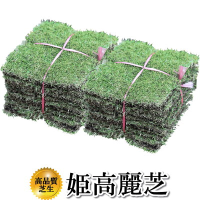 芝生！姫高麗芝1平米高品質・新鮮葉が細く密生度が高い芝生やっぱり人工芝より天然芝！ガーデニングDIY