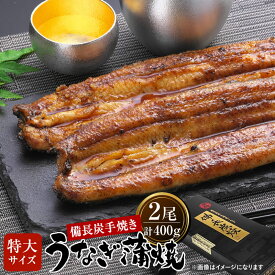 九州産 うなぎの無頭蒲焼き メガサイズ2尾（計400g）セット 送料無料 うなぎ 父の日 特大 冷凍うなぎ 大きいうなぎ 特大うなぎ ギフト プレゼント 贈り物 うなぎ蒲焼 うなぎ 国産うなぎ蒲焼き ウナギ 鰻 国産ウナギ うなぎのかばやき 鰻の蒲焼き 国産鰻 国産 贈答用