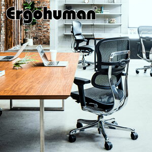 GSq[} E^Cv Ergohuman ItBX`FA bV A~t[ Ɨo[T|[g @\bV`FA EHP2-LAM-LD  ^ bh ^Cv ʌ