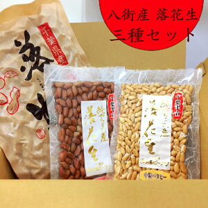 y v[gɁIztXYԐZbg s[ibc t t Y 