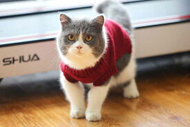 猫服 シンプル 秋冬 もこもこ 暖かい 猫の服 防寒 ペット 洋服 猫セーター おしゃれ メリヤス