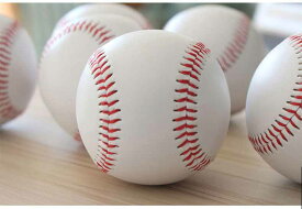 硬式野球ボール 練習球 高校野球 ボール 1ダース 10個 本革 草野球 硬式球 硬式ボール 軟式ボール