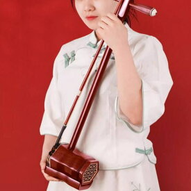 二胡 収納バッグ付き にこ 中国 蘇州 伝統 楽器 木製 蛇皮 初心者 子供 大人 入門 セット 弦付き 松脂付き 弓付き プレゼント ギフト 上質