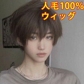 男性用 ウィッグ wig メンズ 人毛100%ウィッグ ヘアスタイル ウィッグメンズ メンズかつら 人毛ウィッグ フルウィッグ 普段 使い ナチュラル デイリー 全頭かつら かつら ファッション トレンド かわいい 桂 最高級 耐熱 カジュアル ネット付