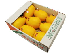 令和8年8月上旬予約・まくわうり（まくわ瓜・マクワウリ・マクワ瓜）1箱　約4，5kg　7玉〜12玉入り　＜九州・福岡産＞