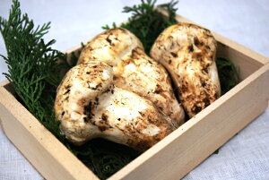 ܂@i}c^Pj@1i200gj@Ji_EAJY@10{`