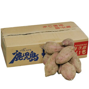 聄@BY@@[îE܂E܈j@1i5kgjXC[cn􁃋BYAAF{