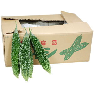 聄@CViɂES[[j@1i10`14{j@[F{YEY]@ƖpEʔ̔