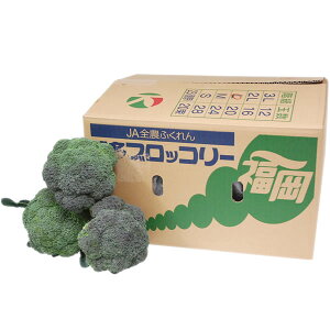 聄@BY@ubR[@1i20`24j@Y@BEEkCYȂǁ@ƖpEʔ̔