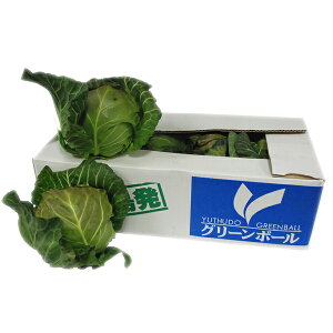 聄@O[{[iG{[j@1i6ʁ`10ʓ/10kgj@Y@ ƖpEʔ̔