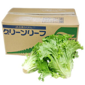 聄@O[[t@1i12`18j@EY@ƖpEʔ̔