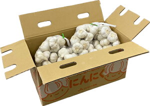 Yɂɂ 10kg1i1kg×10lbgjifEjjNj XA啪AȂ