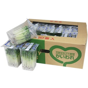 聄@iJCj@1i20pbNj@Y@ƖpEʔ̔