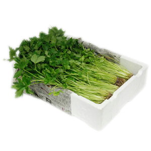 聄 Oti݂΁j 1i20j YƖpEʔ̔