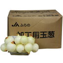 ＜箱売り＞　むきたまねぎ（玉ねぎ） 1箱（約20kg）　鹿児島・茨城・北海道・国産　＜業務用・大量販売＞