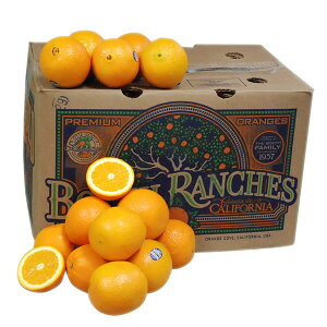 【箱売り】　オレンジ　1箱（56玉〜88玉入り）　[フロリダ産・南アフリカ・オーストラリア]　【業務用・大量販売】【RCP】