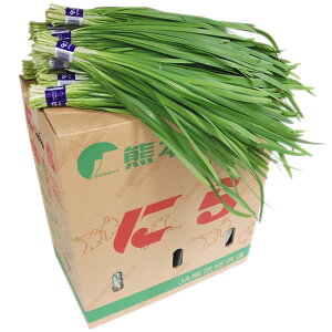 聄@ɂijj 1i50^5kgj E啪E{Y@ƖpEʔ̔