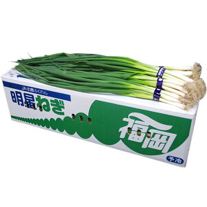 聄@˂iKEIIlMj@1i5kgj@EY@ƖpEʔ̔