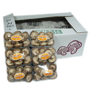 聄@őij@1i100g×40pbN/4kgj@BY@ ƖpEʔ̔