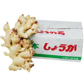 ＜箱売り＞　　新生姜　1箱（約4kg）　国産　＜業務用・大量販売＞