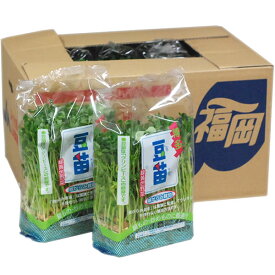 ＜箱売り＞　豆苗（とうみょう）　1箱（10袋入り）　[福岡産・国産]　＜業務用・大量販売＞＜RCP＞