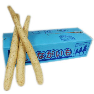 聄@i܂EȂj@1i10kgj@EXEkCY@ƖpEʔ̔