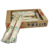 ＜箱売り＞　大和芋（やまといも）　1箱4kg　 ＜業務用・大量販売＞